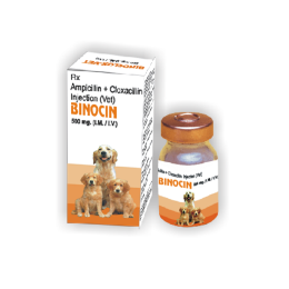 > </div>
<div class=